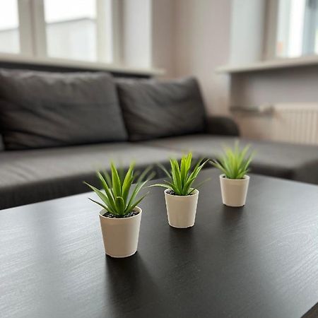 Akmene Center Apartment Naujoji Akmene Zewnętrze zdjęcie