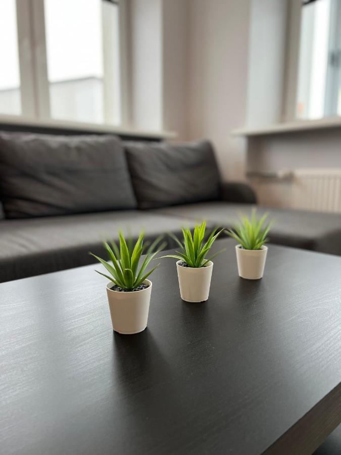 Akmene Center Apartment Naujoji Akmene Zewnętrze zdjęcie